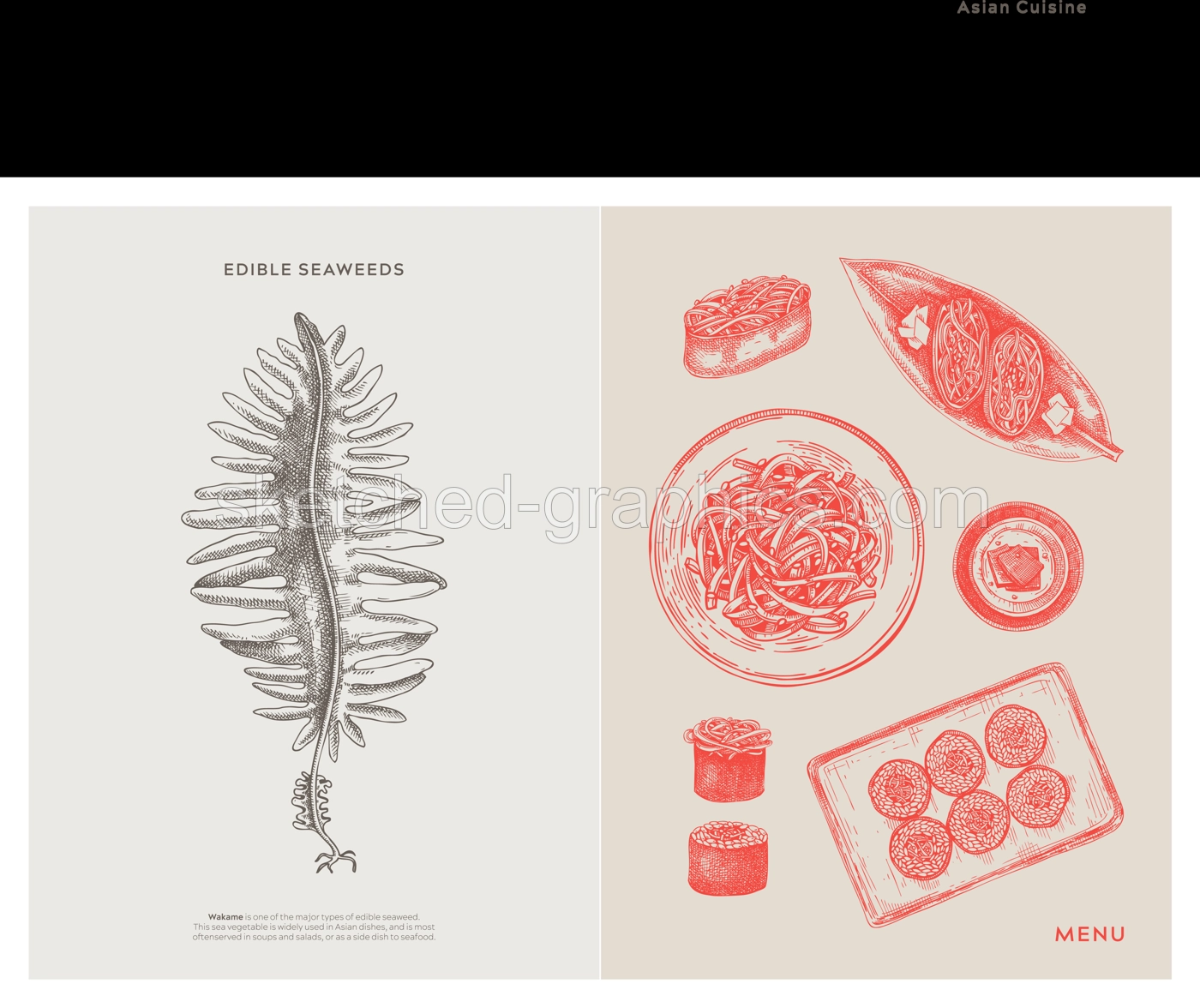 Asian food background. Wakame, edible seaweeds, sea vegetable, kelp, healthy food sketches. Hand drawn seafood restaurant menu design template. Engraved vector illustrations in vintage style Illustration